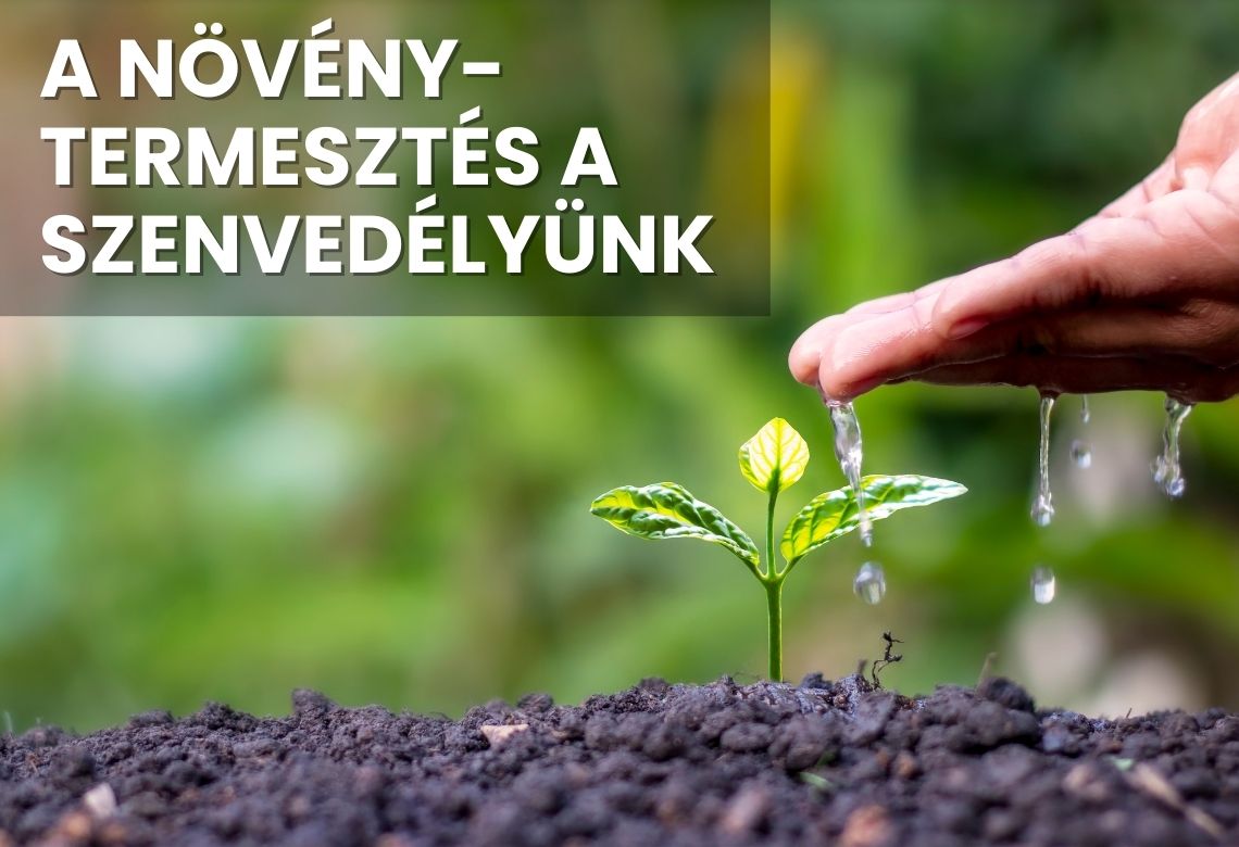 A növénytermesztés a szenvedélyünk