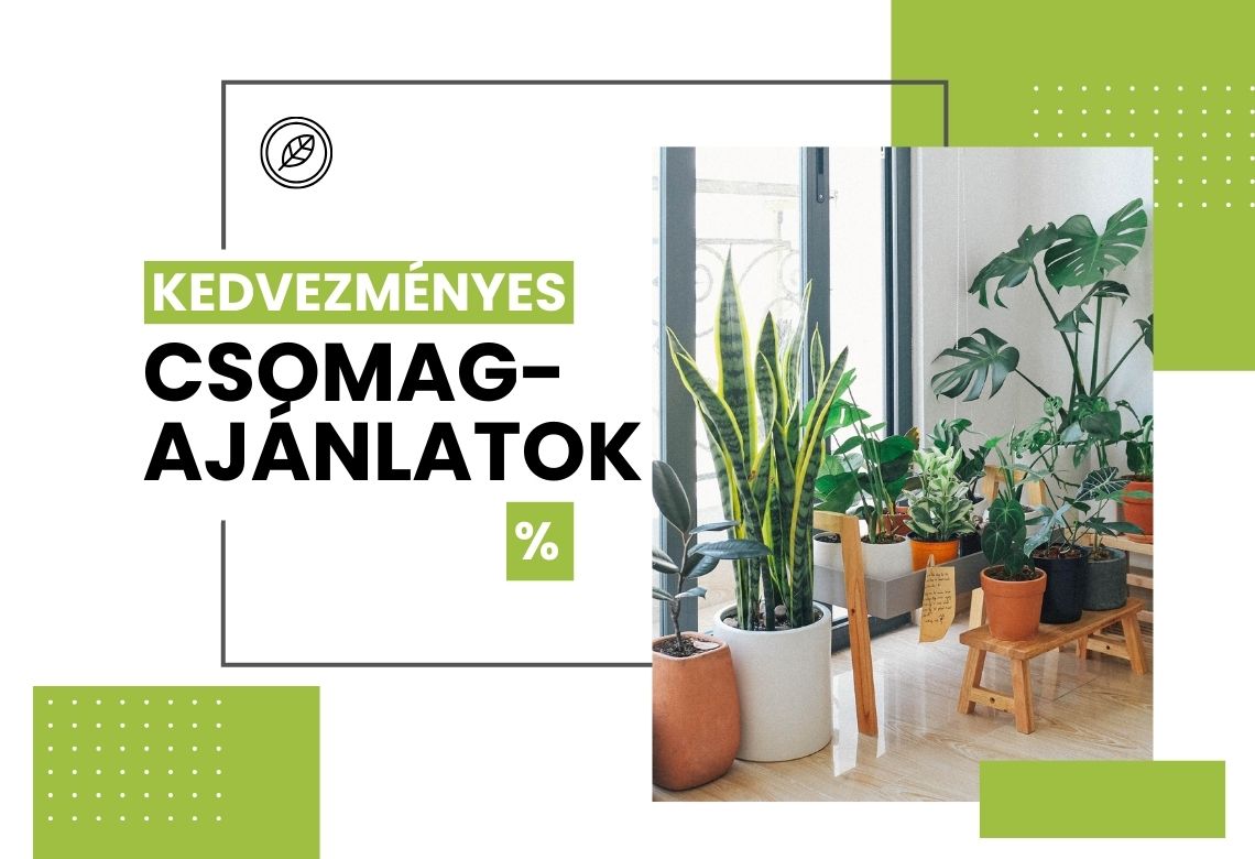 Kedvezményes csomagajánlataink